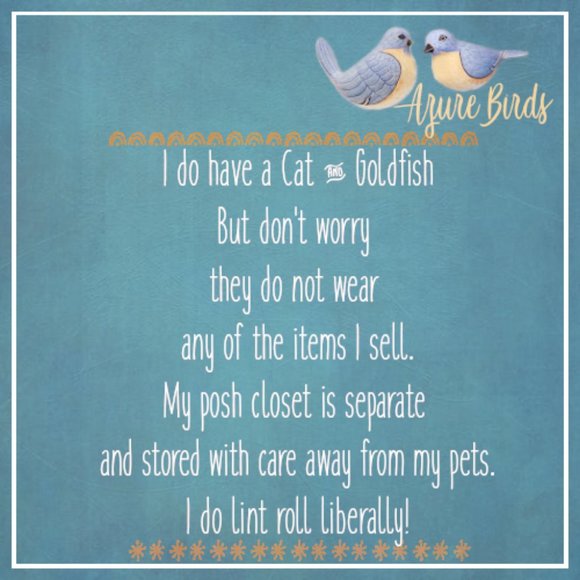 Azure Birds! - Picture 5 of 9